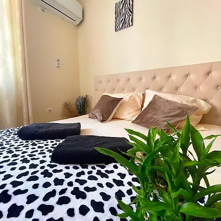 Safari Durrës